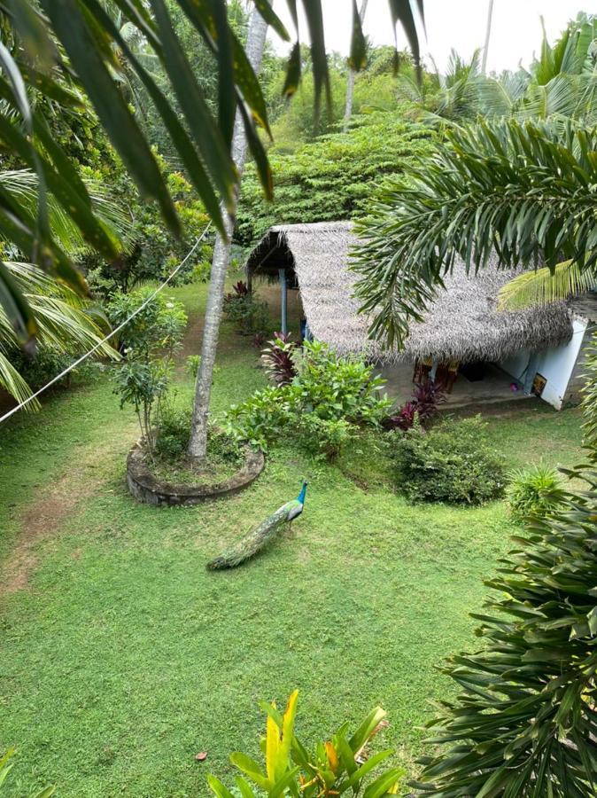 Hiru Villa Tangalle Exterior photo